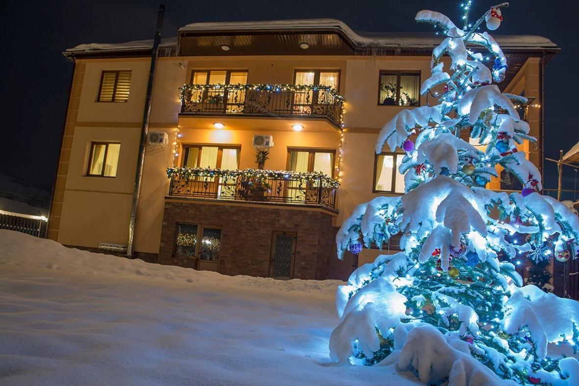 Adele Apartman Mizhhirya  Kültér fotó